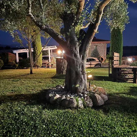 A Casa Di Giulia Bed and breakfast 4*